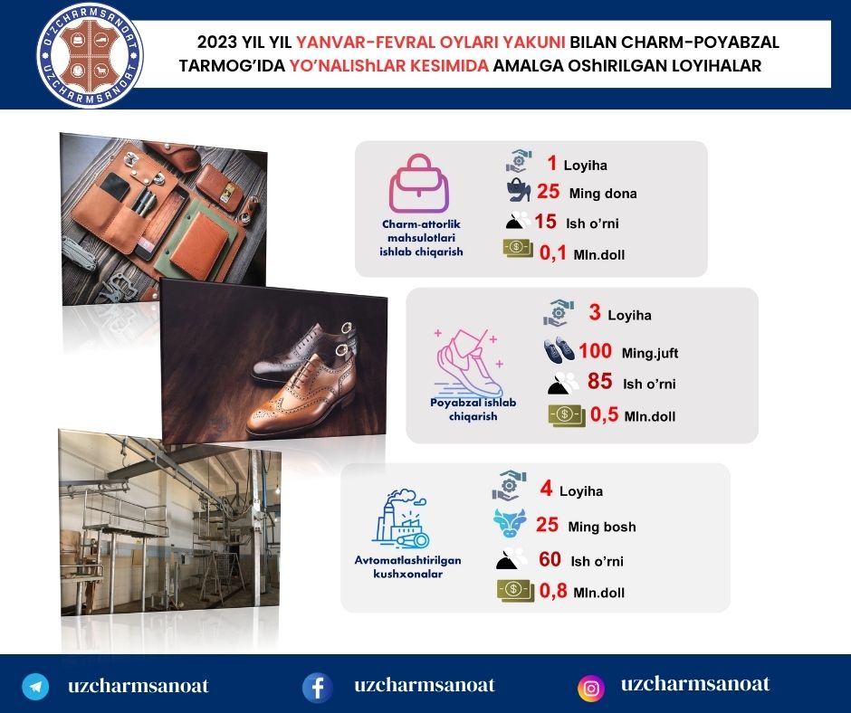 PROJECTS IMPLEMENTED IN THE LEATHER AND FOOTWEAR INDUSTRY IN THE SECTION OF DIRECTIONS (JANUARY-FEBRUARY 2023)